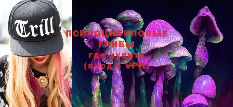 Псилоцибиновые грибы Magic Shrooms  Андреаполь 